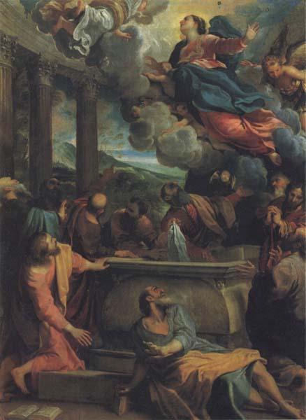 Annibale Carracci The Assumption of the Virgin Germany oil painting art